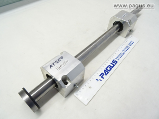 PAGUS Linearführung