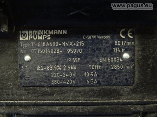 BRINKMANN Eintauchpumpe