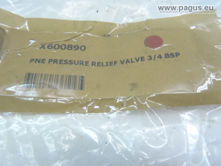 PAGUS Sicherheitsventil