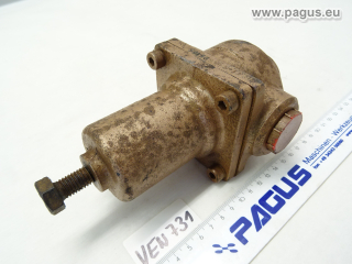 PAGUS Sicherheitsventil