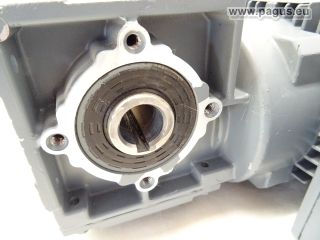 SEW Getriebemotor mit Bremse