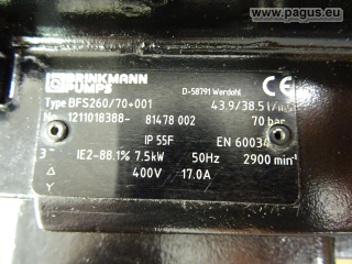 BRINKMANN Schraubenspindelpumpe