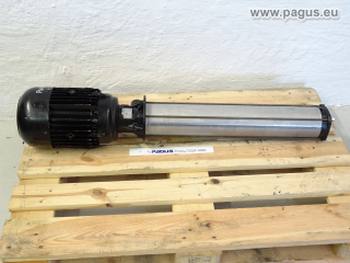 BRINKMANN Eintauchpumpe