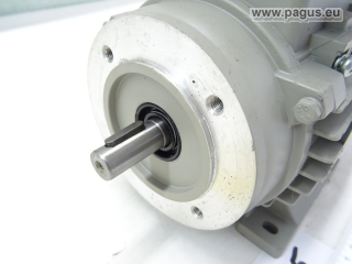 MOLL-MOTOR Elektromotor