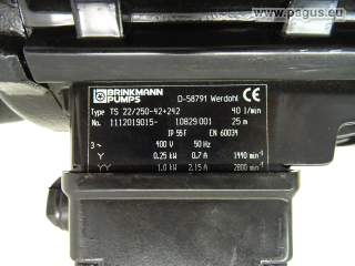 BRINKMANN Eintauchpumpe