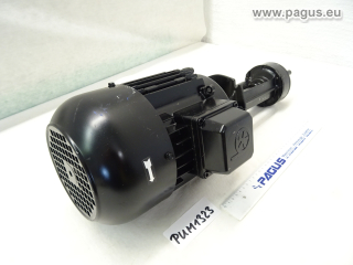 BRINKMANN Eintauchpumpe