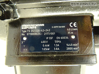 BRINKMANN Eintauchpumpe