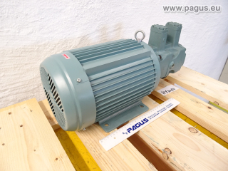 NACHI Doppel- Flügelzellenpumpe, mit Motor