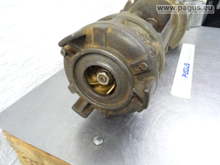 BRINKMANN Eintauchpumpe
