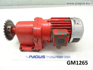 BAUKNECHT Getriebemotor