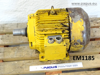 SIEMENS electric motor