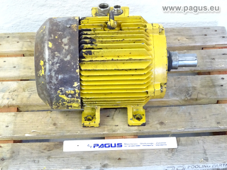 SIEMENS electric motor