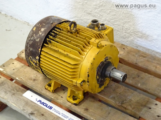 SIEMENS electric motor