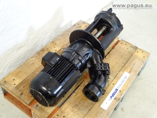 BRINKMANN Eintauchpumpe