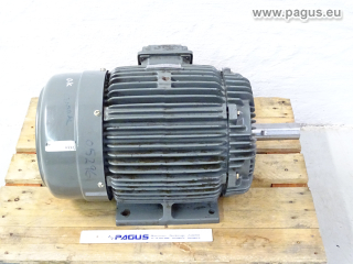 TECO Elektromotor