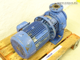 GRUNDFOS Kreiselpumpe