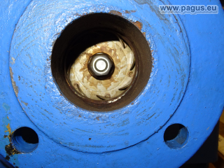 GRUNDFOS Kreiselpumpe