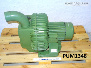 RIETSCHLE Seitenkanal-Vakumpumpe