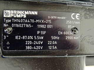 BRINKMANN Eintauchpumpe