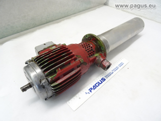 BRINKMANN Eintauchpumpe