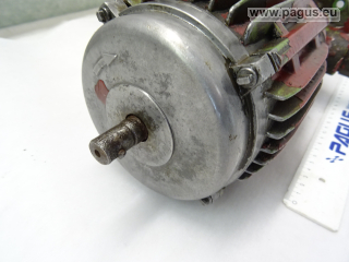 BRINKMANN Eintauchpumpe