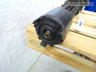 BRINKMANN Eintauchpumpe