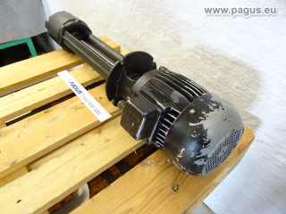 BRINKMANN Eintauchpumpe