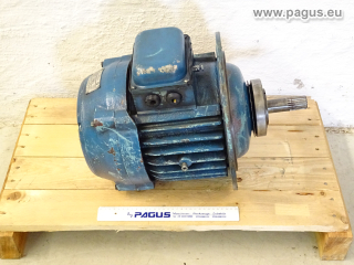 BALKANCAR Elektromotor mit Bremse