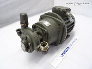 ORSTA Zahnradpumpe mit Motor