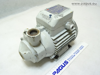 PEDROLLO Kreiselpumpe