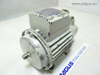 PEDROLLO Kreiselpumpe