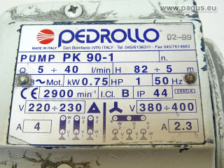 PEDROLLO Kreiselpumpe