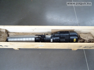 BRINKMANN Eintauchpumpe