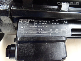 BRINKMANN Eintauchpumpe