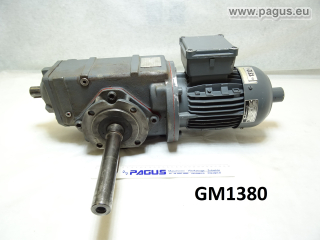 BERGEMANN Getriebemotor