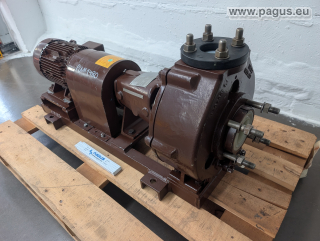 WERNERT-PUMPEN Chemienormpumpe