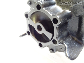 BRINKMANN Eintauchpumpe