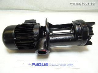 BRINKMANN Eintauchpumpe