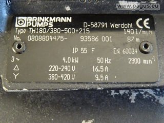 BRINKMANN Eintauchpumpe