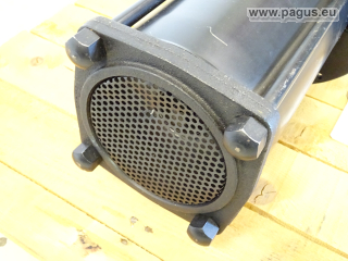 BRINKMANN Eintauchpumpe