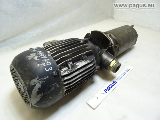 BRINKMANN Eintauchpumpe