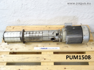 SCHMALENBERGER Eintauchpumpe