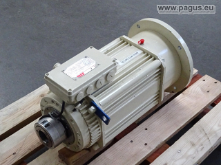 SSB ANTRIEBSTECHNIK Hohlwellenmotor