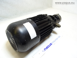 BRINKMANN Eintauchpumpe