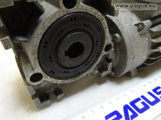 FLENDER Getriebemotor