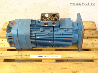 DEMAG Gleichstrommotor mit Bremse