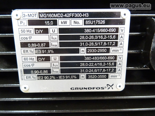 GRUNDFOS Eintauchpumpe