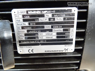 GRUNDFOS Eintauchpumpe