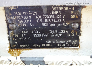 SCHMALENBERGER Eintauchpumpe