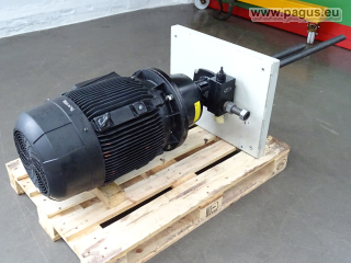 SPANDAU PUMPEN Schraubenspindelpumpe mit Motor